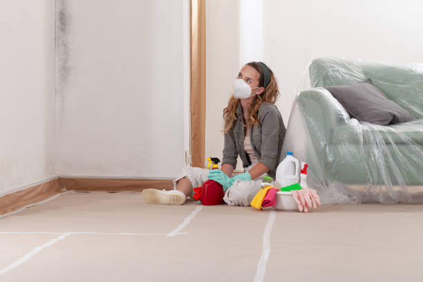 Reliable Attic Mold Removal contractor in Holtsville, NY by WQB Mold Removal